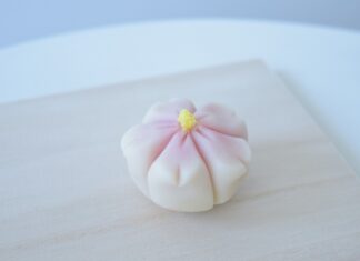 和菓子コーディネーターの荻島美佐恵さん、桜の練り切りビデオ公開中 繊細な美しさの和菓子 ©荻島美佐恵