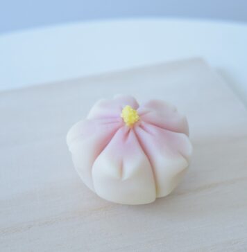 和菓子コーディネーターの荻島美佐恵さん、桜の練り切りビデオ公開中 繊細な美しさの和菓子 ©荻島美佐恵
