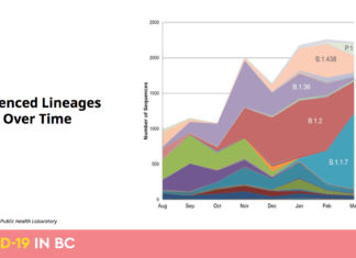BC州2日連続で新規感染1200人越え、変異株が急増 B.1.1.7イギリス型が増加していることを示す表。BC新型コロナ変異株プレゼンテーション資料より。By Public Health Officer of BC