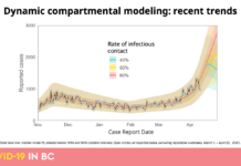 新型コロナ感染の60%は変異株、40代50代の入院患者が急増 BC州が発表した4月のモデリング、接触率と感染者数の推移。From BC modelling April 2021