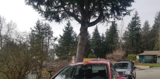 ホンダ車の被害が目立つ、触媒コンバーター盗難 ホンダ車の被害が目立つという © The Vancouver Shinpo