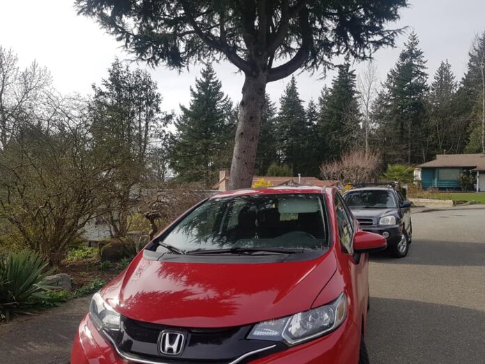 ホンダ車の被害が目立つという © The Vancouver Shinpo