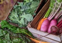 野菜の素材を楽しむ日本の「Value」を伝えたい 日本の野菜を中心に届ける。Photo courtesy of Brave Child Farm