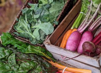 野菜の素材を楽しむ日本の「Value」を伝えたい 日本の野菜を中心に届ける。Photo courtesy of Brave Child Farm