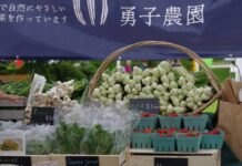 日系文化センター・博物館のファーマーズマーケット「産地直送」、7月のラインナップ Brave Child Farmのおかめホウレンソウ、青梗菜、葉ニンニクなどを販売。©The Vancouver Shinpo