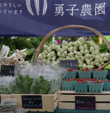 日系文化センター・博物館のファーマーズマーケット「産地直送」、7月のラインナップ Brave Child Farmのおかめホウレンソウ、青梗菜、葉ニンニクなどを販売。©The Vancouver Shinpo