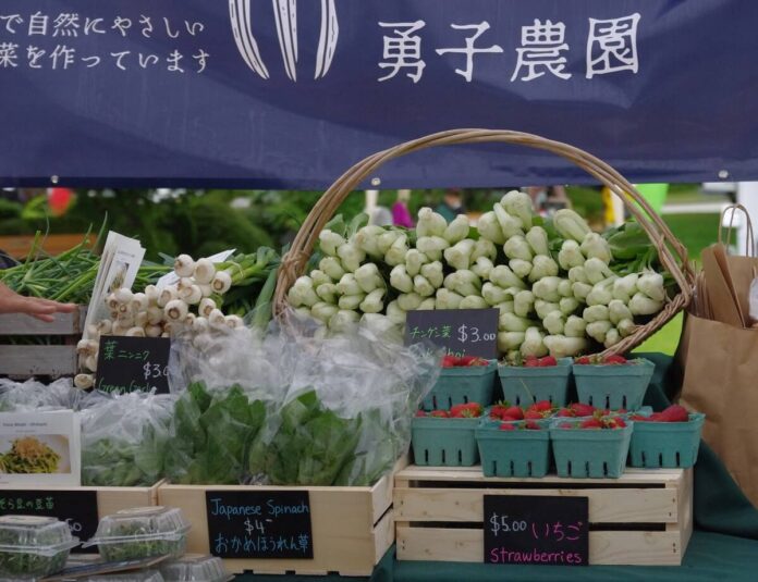 Brave Child Farmのおかめホウレンソウ、青梗菜、葉ニンニクなどを販売。©The Vancouver Shinpo