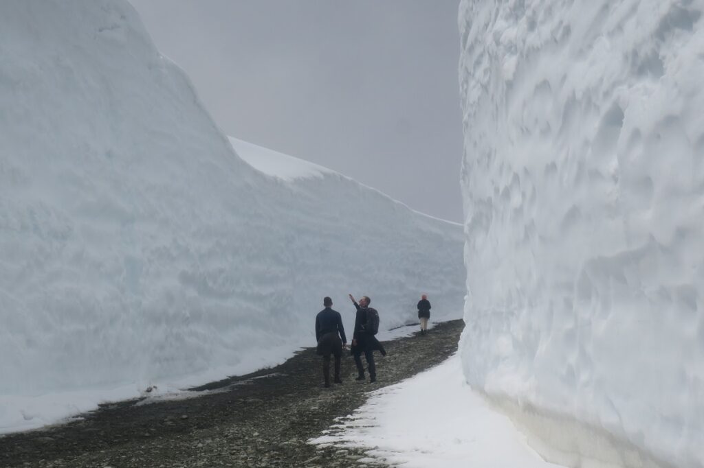 ウィスラーの雪の回廊。写真提供 野口英雄さん