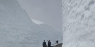 規制緩和第2段階に移行の週末、ウィスラーに多くの人出 ウィスラーの雪の回廊。写真提供 野口英雄さん