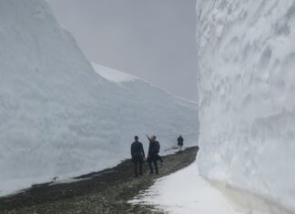 規制緩和第2段階に移行の週末、ウィスラーに多くの人出 ウィスラーの雪の回廊。写真提供 野口英雄さん