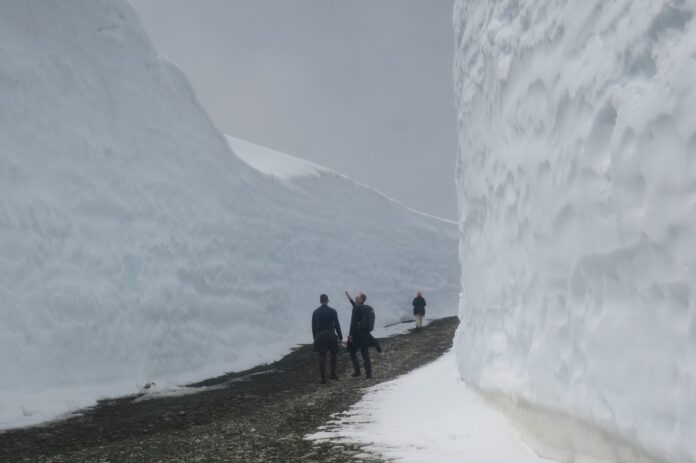 ウィスラーの雪の回廊。写真提供 野口英雄さん