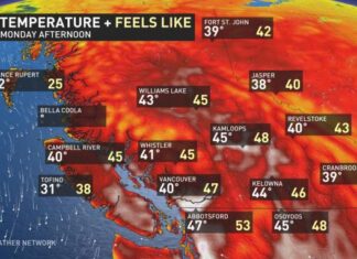 カナダ西部を熱波が襲う、BC各地で猛暑続く BC June 28 afternoon temperature by Weather Network