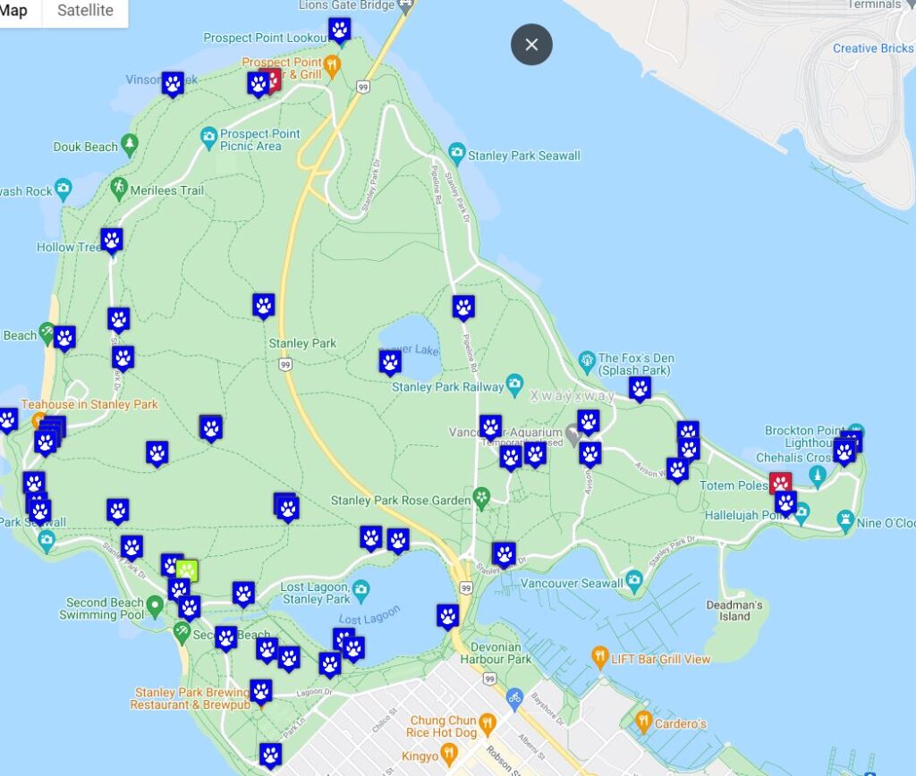 Stanley Park Ecology Societyのウェブサイトより。