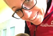 水族館で働きたい人必見!海洋生物トレーナーのKPさんが仕事に就くまで バンクーバー水族館で海洋生物トレーナーとして活躍するKP(クリスティン・プランカート)さん。Photo courtesy of Kristyn Plancarte