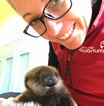 水族館で働きたい人必見!海洋生物トレーナーのKPさんが仕事に就くまで バンクーバー水族館で海洋生物トレーナーとして活躍するKP(クリスティン・プランカート)さん。Photo courtesy of Kristyn Plancarte