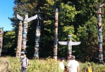 スタンレーパークでコヨーテがまた子どもを襲う Stanley Park in Vancouver. Photo by the Vancouver Shinpo
