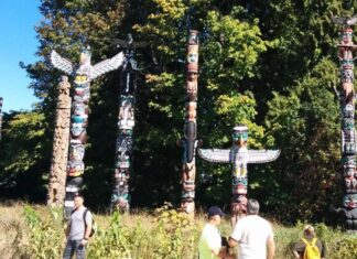 スタンレーパークでコヨーテがまた子どもを襲う Stanley Park in Vancouver. Photo by the Vancouver Shinpo