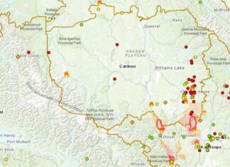BC州の約200カ所で山火事