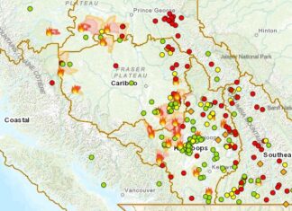 懸命の消火活動にかかわらず山火事306カ所に