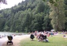 アリスレイクで不明の男性、死亡 アリスレイク。Photo by Keiko Nishikawa