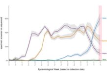 カナダでも猛威をふるうデルタ株、規制緩和、経済再開に影 変異株の割合。7/18-24でデルタ株が6割を占める。BC Centre of Disease Controlの『Weekly update on Variants of Concern 』