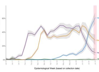 カナダでも猛威をふるうデルタ株、規制緩和、経済再開に影 変異株の割合。7/18-24でデルタ株が6割を占める。BC Centre of Disease Controlの『Weekly update on Variants of Concern 』