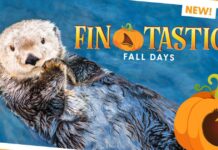 バンクーバー水族館のハロウィンイベント『Fin-tastic Fall Days』 バンクーバー水族館のハロウィンイベントFin-tastic Fall Days
