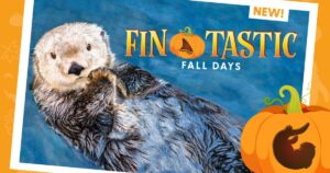 バンクーバー水族館のハロウィンイベントFin-tastic Fall Days