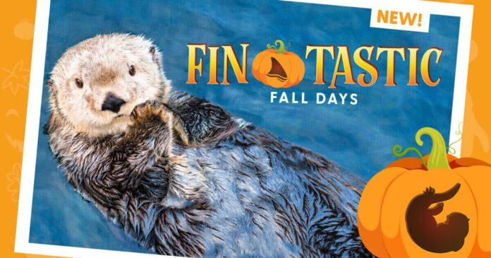 バンクーバー水族館のハロウィンイベントFin-tastic Fall Days