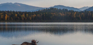 脳の運動教室 第11回「○△□を使って芸術の秋」 West Coast Healthy Memory Society Week 11-6