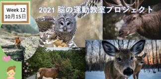 脳の運動教室 第12回「あなたもわたしも野生動物」 West Coast Healthy Memory Society Week 12-2