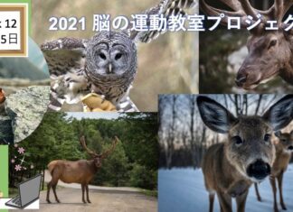 脳の運動教室 第12回「あなたもわたしも野生動物」 West Coast Healthy Memory Society Week 12-2