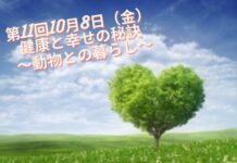 脳の運動教室 第10回「お買い得な私を覚えて下さい」 West Coast Healthy Memory Sociey Week 10-5