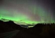 バンクーバーから車で片道2800キロ、神秘の大地、ユーコンへ 1 ユーコンの大地で見たオーロラ。写真提供 種村幸治さん