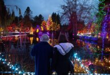 クリスマスイベントを楽しむ! バンドゥーセン植物園で開催されるフェスティバル・オブ・ライツ。Photo courtesy of SOMBILON STUDIOS/ VanDusen Botanical Garden and Bloedel Conservatory
