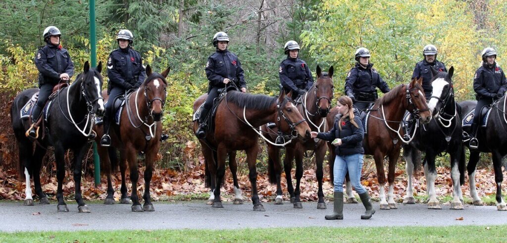 RCMP Mounted Squad, on November 11, 2021. Photo by ©︎Toru Furukawa/ The Vancouver Shinpo