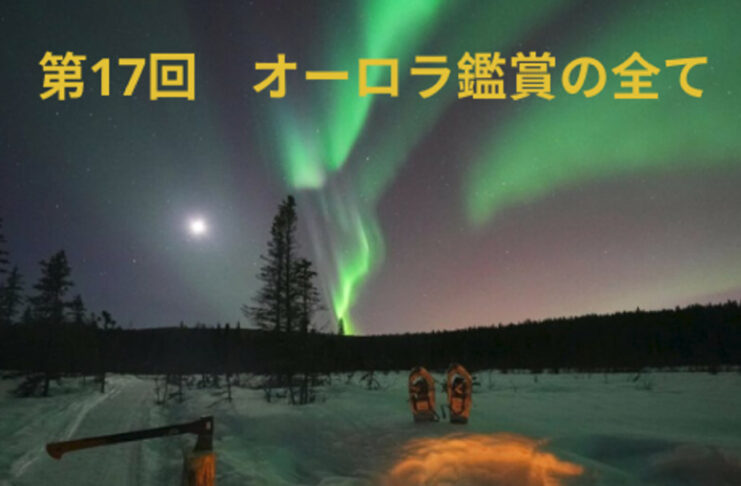 脳の運動教室 第16回「あなたの健康度は1〜10でいくつですか?」 West Coast Healthy Memory Society Week 16-5