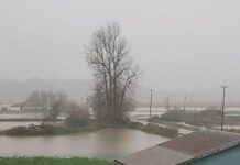 BC州、豪雨の被災世帯に2000ドルを支給 アボツフォードでは広範囲で冠水している。©the Vancouver Shinpo