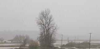 豪雨による被害のBC州で非常事態宣言 アボツフォードでは広範囲で冠水している。©the Vancouver Shinpo