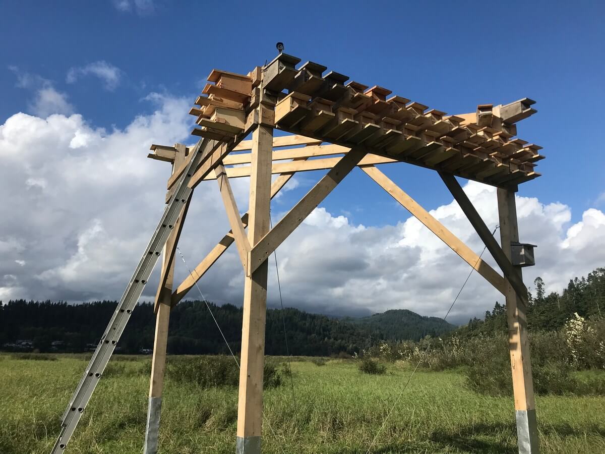 環境や自然のことを考えて気持ちよく暮らす ~ナチュラリスト、高橋清さん~ コキットラムのコロニーファームに設置したコウモリの巣箱。Photo courtesy of Kiyoshi Takahashi