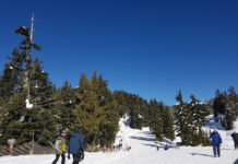 マウントシーモア州立公園でこの冬、「ビークルパス」が必要に 冬のマウントシーモア州立公園。Photo by Keiko Nishikawa