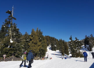 マウントシーモア州立公園でこの冬、「ビークルパス」が必要に 冬のマウントシーモア州立公園。Photo by Keiko Nishikawa
