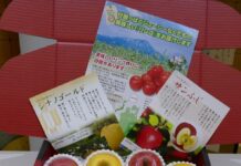 岩手産リンゴ貿易、再開 岩手産リンゴ(手前左から)黄色いはるか、赤いサンふじ、黄色にそばかすのようなものがあるのがシナノゴールド。©The Vancouver Shinpo/ Photo by Louise Akuzawa