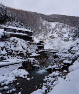 はるばる長野県まで行って、本当にスノーモンキーに会えるのかが心配だったという。©The Vancouver Shinpo