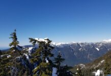 マウントシーモアでウィンターハイキング マウントシーモアでウィンターハイキング。Photo by Keiko Nishikawa