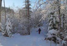 大雪のバンクーバー、休校相次ぐ 大雪に見舞われたBC州沿岸部。©The Vancouver Shinpo