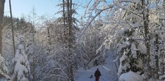 大雪のバンクーバー、休校相次ぐ 大雪に見舞われたBC州沿岸部。©The Vancouver Shinpo