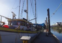 スティーブストンでニシンのチャリティ販売、小児がん患者のファンドレイジング スティーブストンの港。©The Vancouver Shinpo