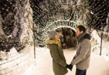 大切な人と最高にロマンチックな冬 – 後編 グラウスマウンテンのライトウォーク。Photo courtesy of Grouse Mountain Resorts