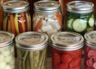 日本の文化とも密接に関わる麹など、発酵食品の魅力2 発酵ピクルス。Photo courtesy of Yumi Sakamoto